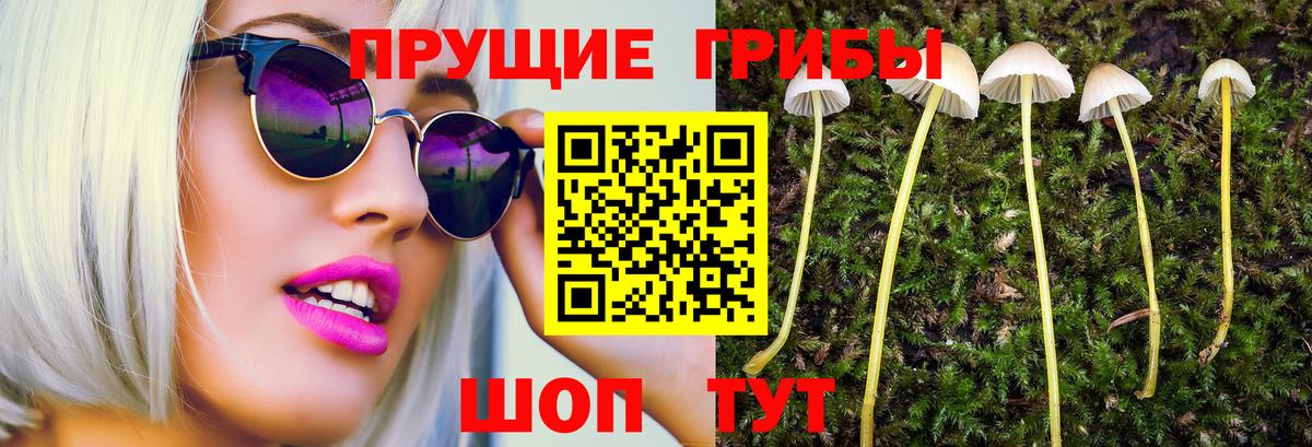 Галлюциногенные грибы прущие грибы Севастополь