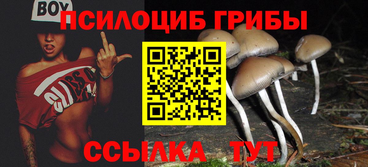 Севастополь  купить наркотики цена  Вход с VPN  Псилоцибиновые грибы GOLDEN TEACHER 